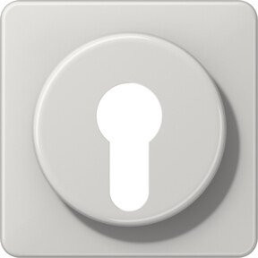 Jung Abdeckung für Schlüsselschalter CD 528 LG in Weiß mit IP44 Schutzart - Bild 1