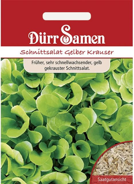 Dürr Schnittsalat Gelber Krauser Saatgut 1000 g - Bild 1