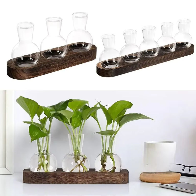 Moderne Pflanzenterrarium-Vermehrungsstation aus Glas und Holz mit flaschenförmigen Vasen in Transparent und Braun - Bild 7