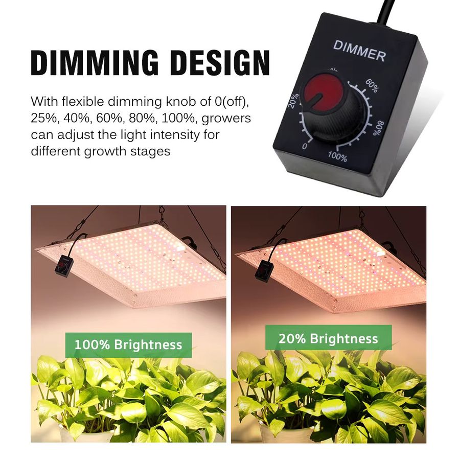 GRAXGROW 100 W Vollspektrum-Wachstumslicht Quantum-Board mit einstellbarem Spektrum und IP65 Wasserdichtigkeit für dein Gewächshaus - Bild 3