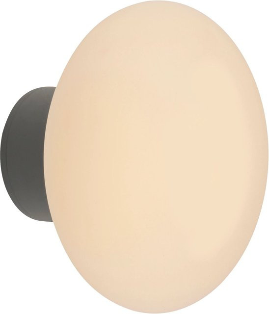 Paul Neuhaus LED-Wandleuchte Olaf in Grau für Innen- und Außenbereich, H: 13 cm, Ø: 18 cm - Bild 1