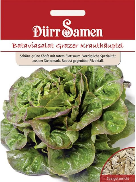 Dürr Bataviasalat Grazer Krauthäuptel Saatgut für den Gemüsegarten - Bild 1