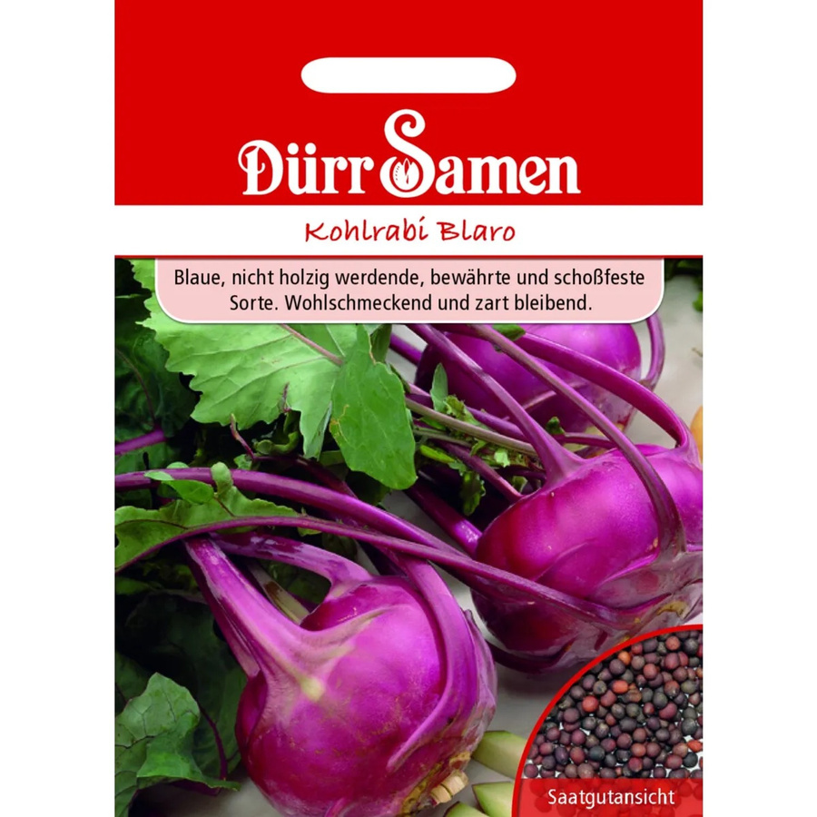 Dürr Kohlrabi Blaro Saatgut 7 g - Bild 2