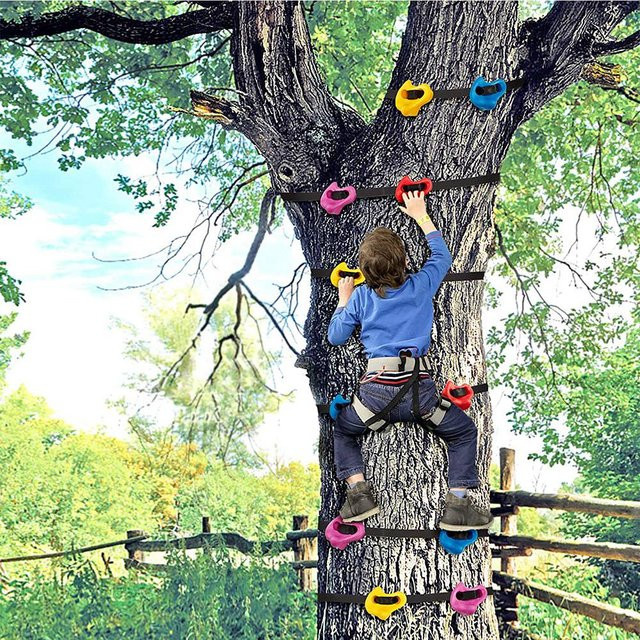 ABHS Rock Climbing Holds, Klettergriffe für Kinder und Erwachsene - Bild 1