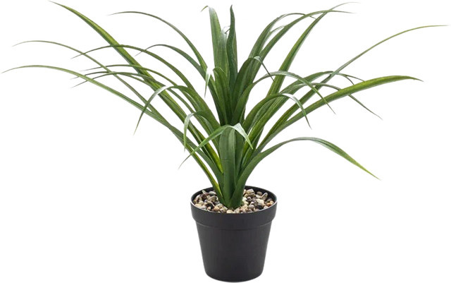 Künstliche Yucca Pflanze Basti von Aplanta, Tischdeko, Höhe: 35 cm - Bild 1