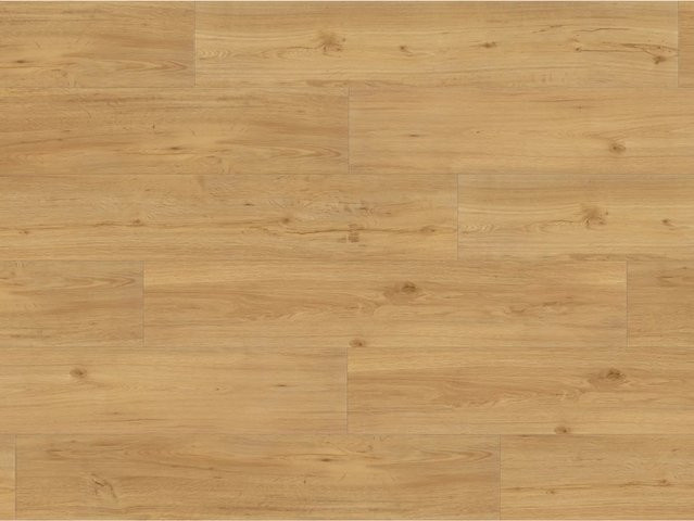 Parador Vinylbodenmuster Basic 2.0 Eiche Natur Braun Scandinavian - Bild 1