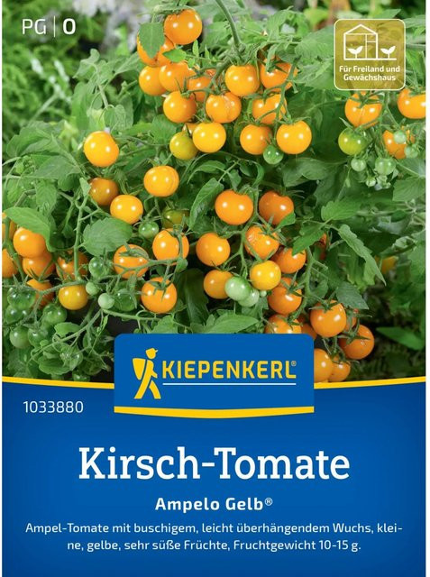 Kiepenkerl Profi-Line Kirsch-Tomate Ampel Gelb F1-Hybride Gemüsesamen für Ampeln, Balkonkästen und Kübel - Bild 1