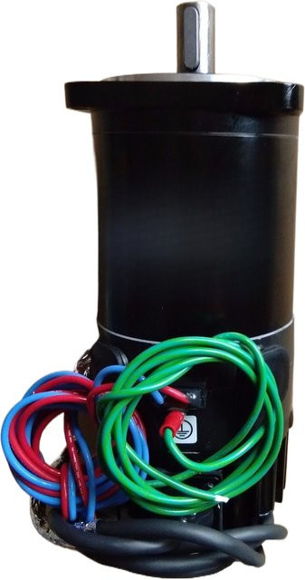 SANYODENKI Motor T730-012LE8 in Schwarz - Bild 1
