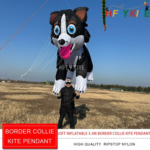 HFLY Border Collie Drachen mit Leine, Tiere - Bild 1