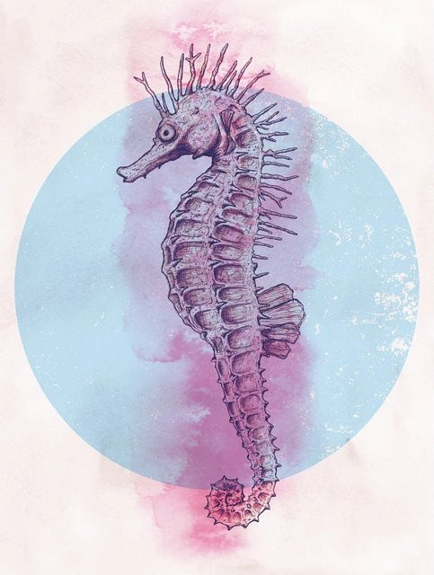 Komar Wandbild Sea Horse Circle in Multicolor, Breite: 30 cm, Höhe: 40 cm - Bild 1