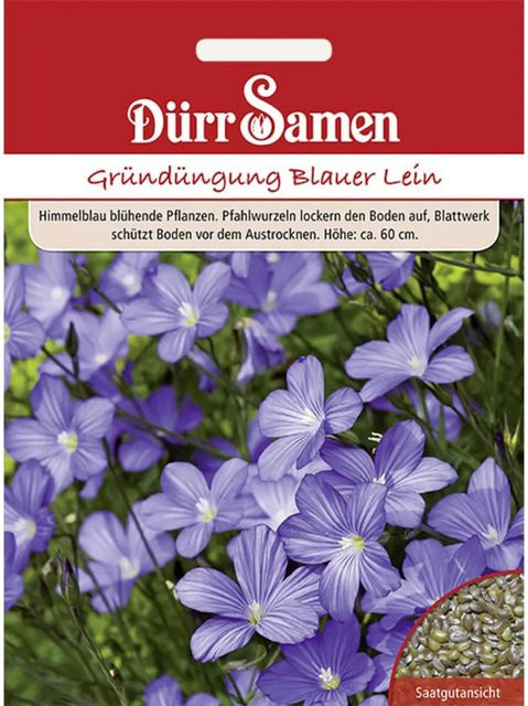 Dürr Gründüngung Blauer Lein Samen 60 g - Bild 1