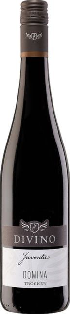 Divino Juventa Domina Rotwein, Franken, 2023, trocken, 0,75 l - Bild 1