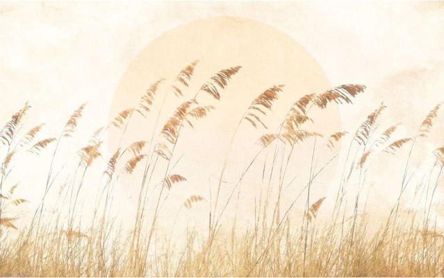 Komar Fototapete Dune Grass in Sandbeige, Vlies, B: 400 cm, H: 250 cm - Bild 1