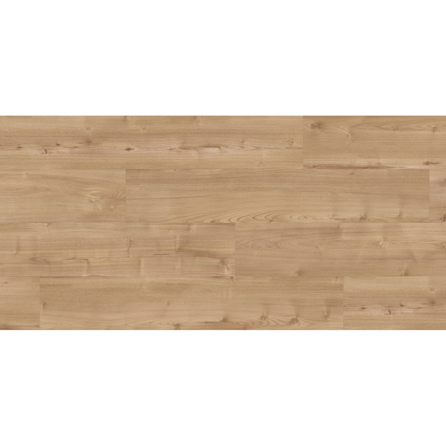 Kaindl Masterfloor XPT Laminat Akazie Chester Valeria in Braun, 8 mm wasserfest - Bild 2