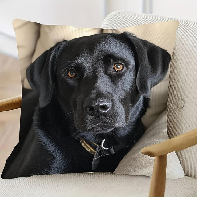 Kissenbezug von JMG Clothing mit schwarzem Labrador Retriever-Aufdruck, Farbe: Grau/Schwarz, B/T/H: 45 x 45 x 1 cm - Bild 1