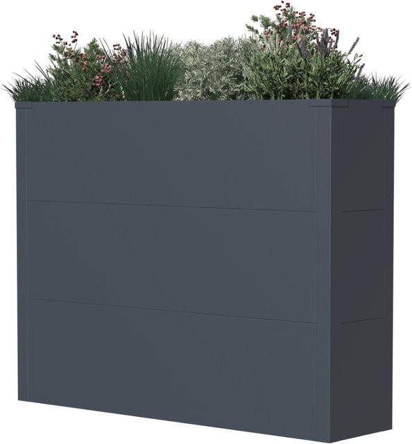 Westmann Pflanzkasten Talus XL in Anthrazit, moderner rechteckiger Metall-Pflanzkübel aus Stahl, B/T/H: 77 x 25 x 25 cm - Bild 1
