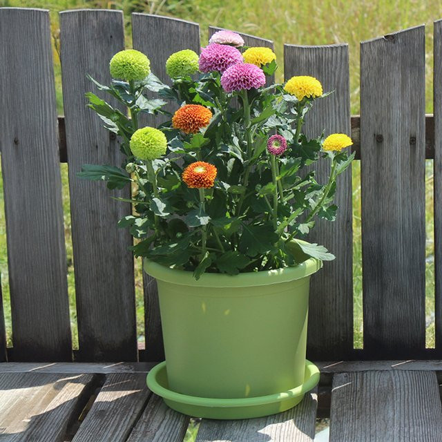 Großer wasserabsorbierender Blumentopf aus Kunststoff von ACRDDK in Weiß - Bild 1