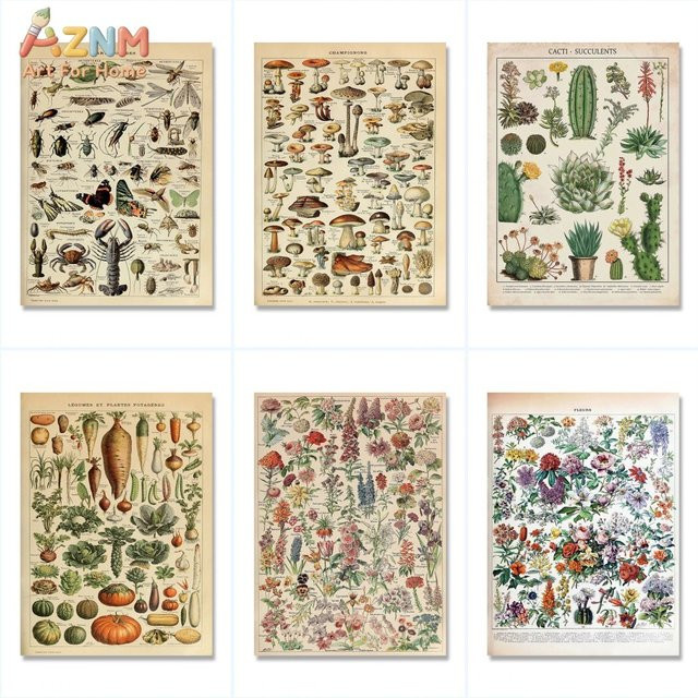 AZNM Vintage Botanische Illustration auf Leinwand, Retro-Poster mit Blumen, Pilzen, Insekten und Pflanzen, Mehrfarbig, ungerahmt - Bild 1