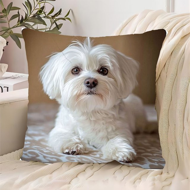 ZZN Kissenbezug mit Malteser-Hund Motiv in modernem Stil, B/B: 45 x 45 cm - Bild 1