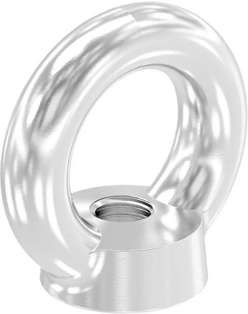 FeNau Ringmutter aus Edelstahl V4A mit Innengewinde M10 nach DIN 582 in Silber - Bild 1