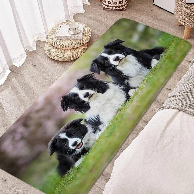 Digitaldruck Fußmatte mit Border Collie Motiv, wetterfest und waschbar, B/T: 80 x 50 cm - Bild 1