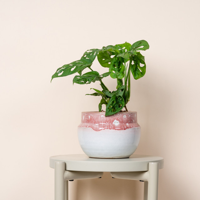 Keramik Übertopf BLUME2000 für Tischdekoration in Rot, Pink und Weiß, Höhe: 17,0 cm, Breite: 12,0 cm, Tiefe: 10,5 cm - Bild 1
