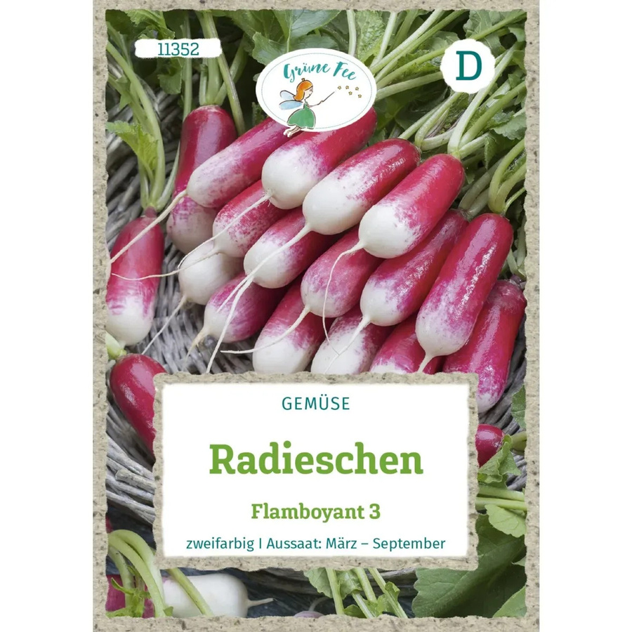 Grüne Fee Radieschen Flamboyant Saatgut - Bild 2