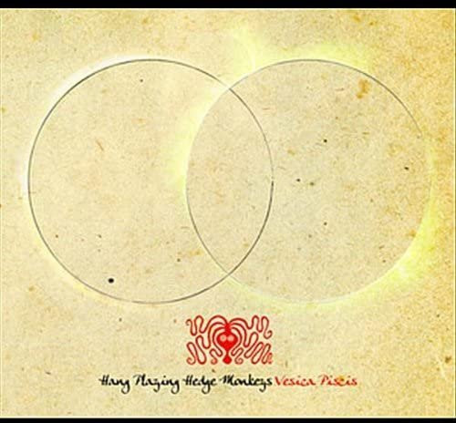 CD Hängende Spielende Heckenaffen Vesica Piscis Religiös & Andächtig 2008 beige - Bild 1