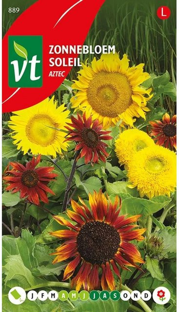 Arborix Sonnenblume Aztek Samen für große Blüten, 1,25 g - Bild 1