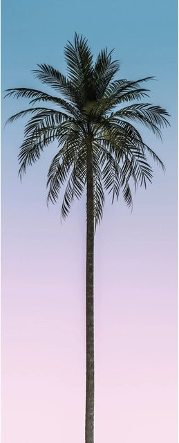 Komar Fototapete Skyhigh Panel aus Vlies, Multicolor, B: 100 cm, H: 250 cm - Bild 1