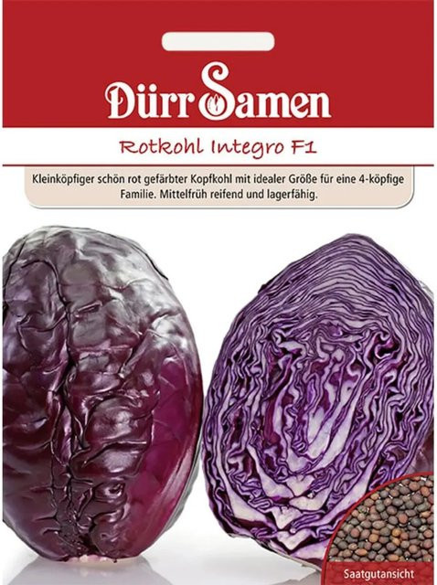 Dürr Rotkohl Integro F1 Saatgut für Frühsaaten 50 g - Bild 1