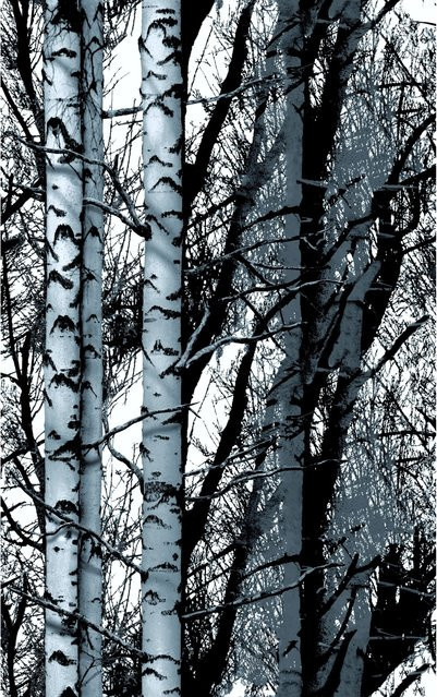 d-c-fix Klebefolie Wood in Schwarz-weiß, Breite: 45 cm, Länge: 150 cm - Bild 1