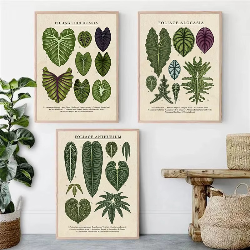 Potdemiel Wandkunst Leinwand Poster mit botanischem Blattmotiv in Grün im Vintage-Stil - Bild 2