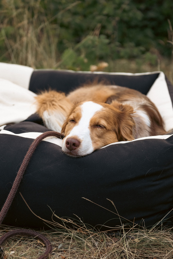 HAY Dogs Hundebett XS in Multicolour mit abnehmbarem Bezug aus Mikrofaser - Bild 2