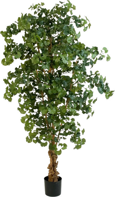 Künstlicher Gingko Baum Tamino von Aplanta, Höhe: 210 cm - Bild 1
