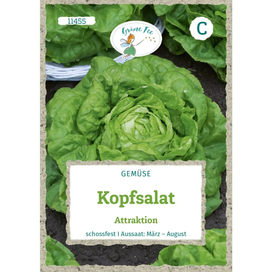Grüne Fee Kopfsalat Attraktion Saatgut für den Sommer und Frühsommer - Bild 2