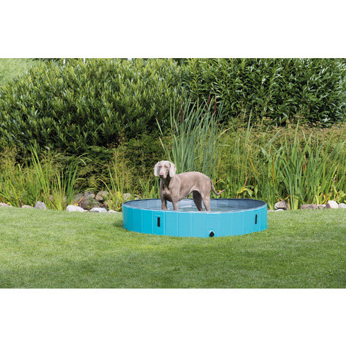 Trixie Hundepool in Blau/Hellblau mit Durchmesser: 160 cm - Bild 2