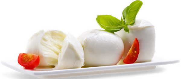 Dallmayr Delikatessen Mozzarella di Bufala Rohmilch 250 g
