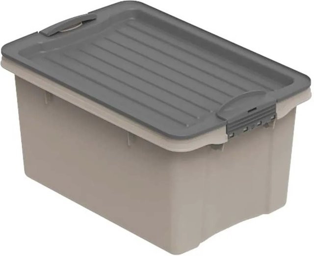 Rotho Stapelbox Compact A5 in Beige - Bild 1