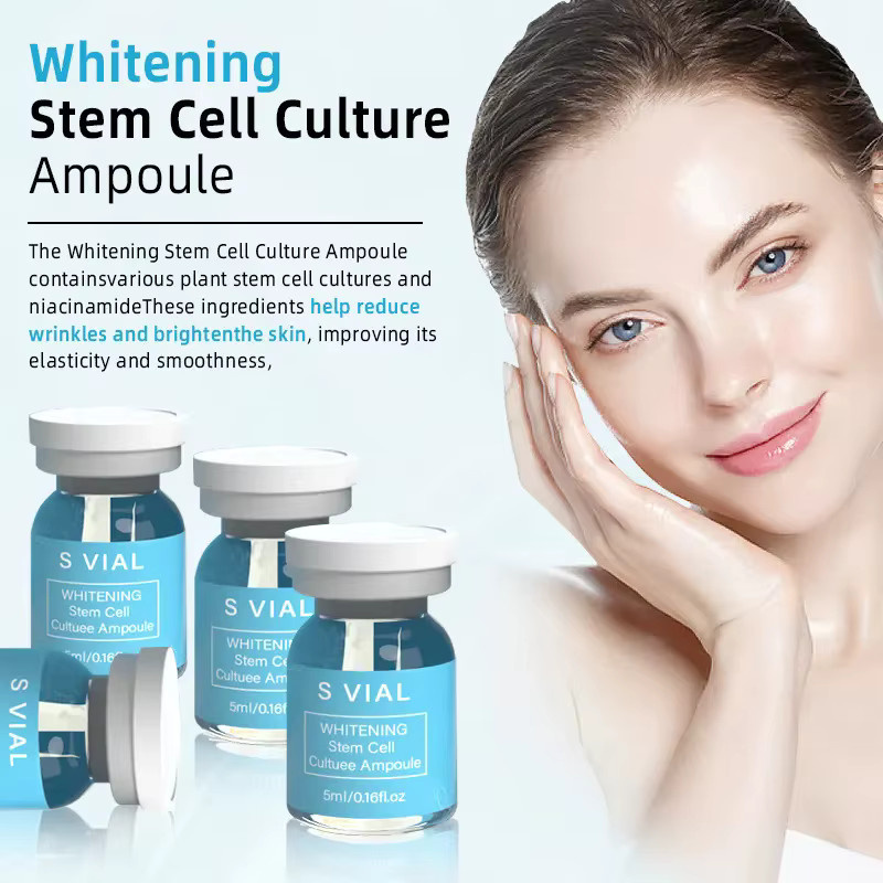 eelhoe Anti-Falten-Ampullenserum, Gesicht, Unisex - Bild 2