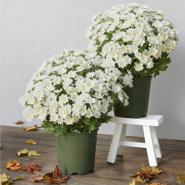 Künstliche Sonnenuntergangsblumen in Weiß für Außenbereich und Innenräume - Bild 1