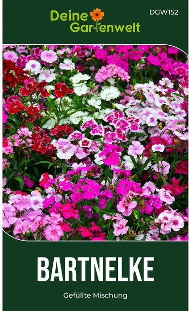 Deine Gartenwelt Bartnelke Gefüllte Mischung Samen für Bauerngärten, Rabatten und Schnittblumen - Bild 1
