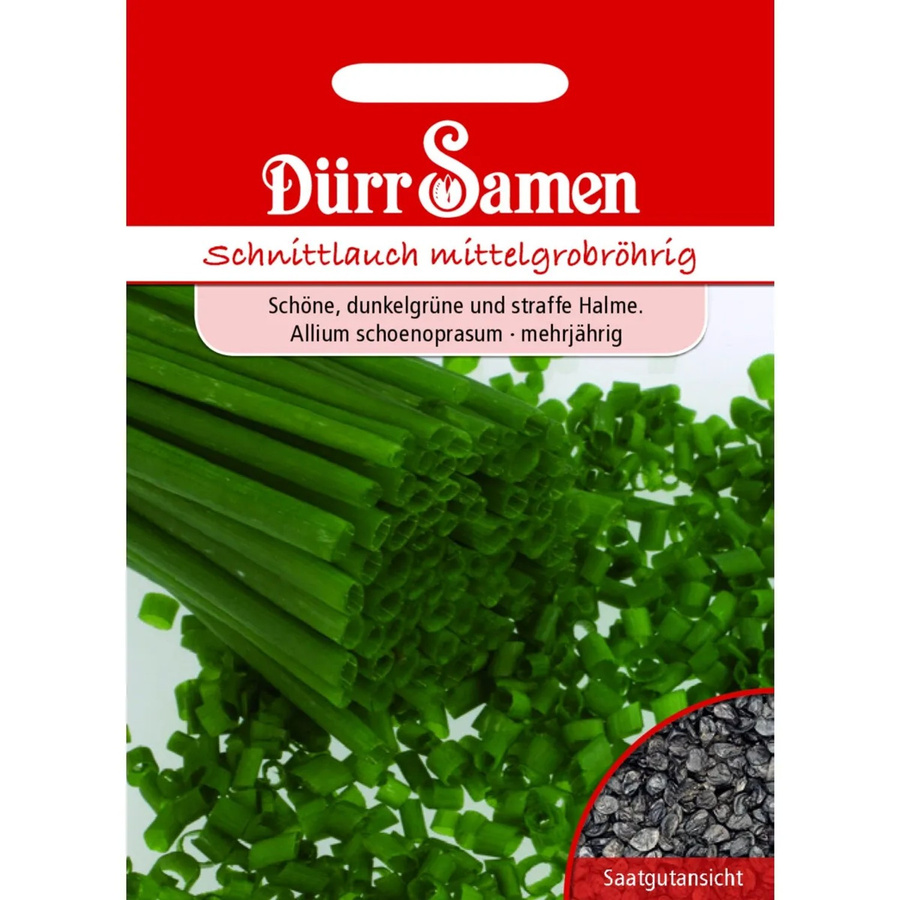 Dürr Schnittlauch Saatgut Miro für Frühsaat und Freiland - Bild 2