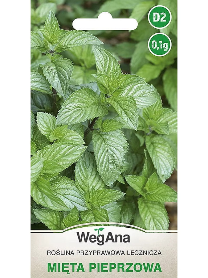 WegAna Pfefferminze Kräutersamen, 0,1 g - Bild 1