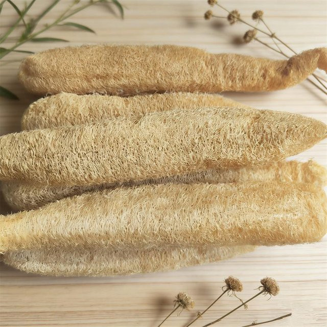 Natürlicher Luffa-Schwamm-Scheuerer von TARA in Beige, Länge: 35 cm - Bild 1