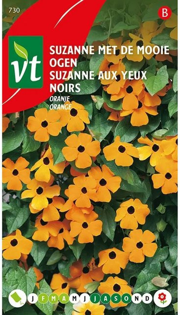 Arborix Schwarzäugige Susanne Samen für orangefarbene Blüten, 0,75 g - Bild 1