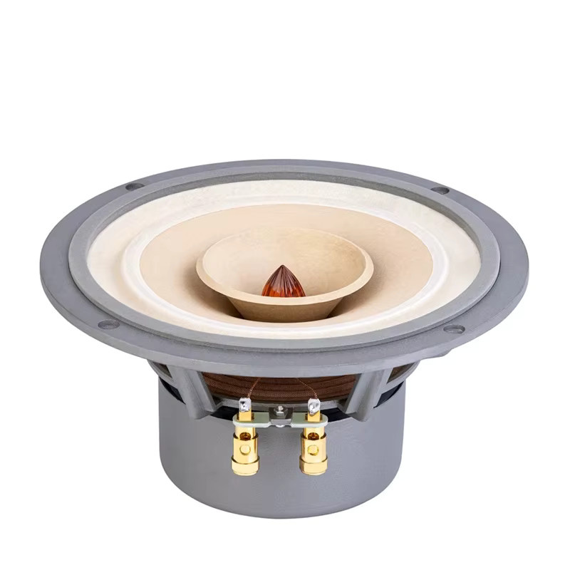 Lii Song Fast-8 8-Zoll HiFi-Lautsprecher Paar mit großer Reichweite - Bild 2