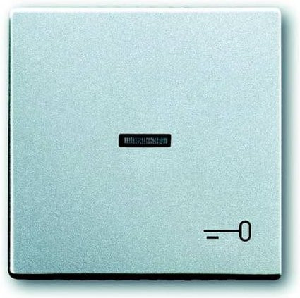 Busch-Jaeger Abdeckung Symbolwippe Schlüssel Future Linear Aluminium Weißaluminium RAL 9006 2CKA001751A2953 - Bild 1