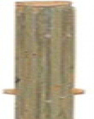 Bambuszaun Mittelpfosten aus Bambus Durchmesser: 8 cm, Höhe: 200 cm - Bild 1
