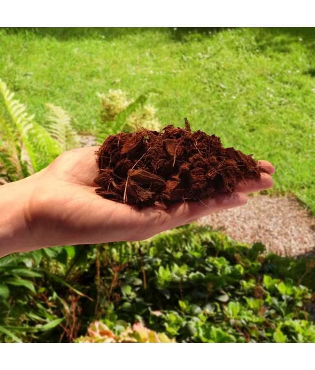 BIOVITA Kokoschips als Spezialsubstrat für Pflanzen und Blumen, braun, 5 l - Bild 4